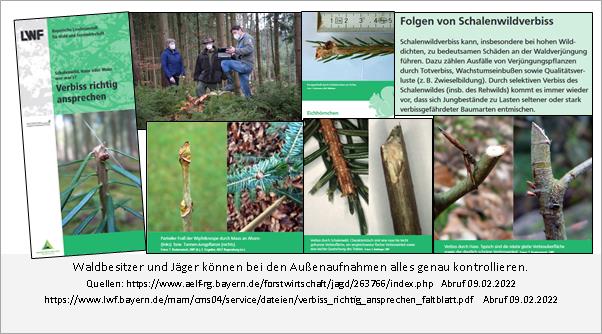 Forstliches Gutachten Waldverjüngung Aussenaufnahme